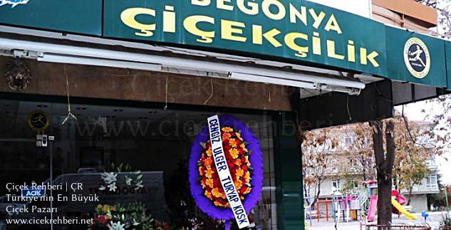 Begonya Çiçekçilik Merkez, Ankara, Çankaya fotoğrafları