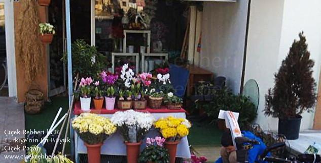 Beyaz Orkide Çiçekçilik Merkez, Ankara, Çankaya fotoğrafları