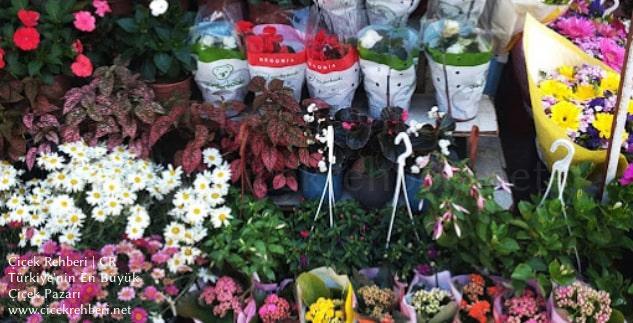 Gelincik Çiçekçilik Merkez, Mersin, Yenişehir fotoğrafları