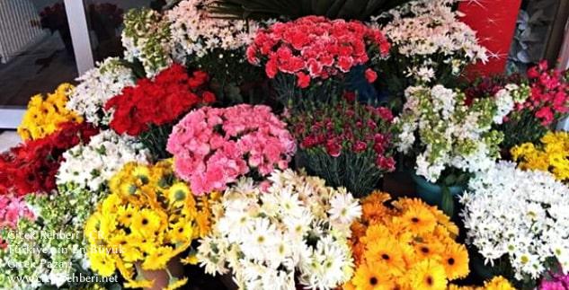 Buse Çiçek Merkez, Kırıkkale, Merkez fotoğrafları