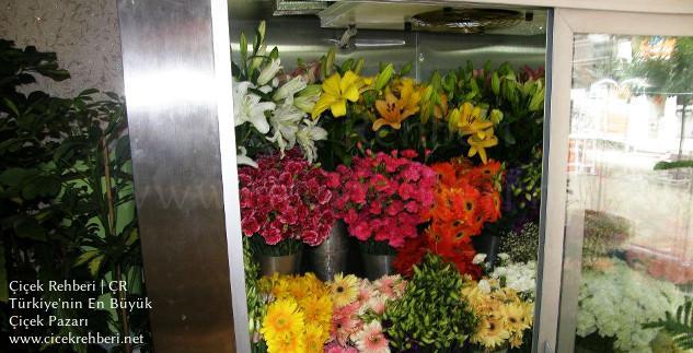 İlgi Çiçekçilik Merkez, Eskişehir, Odunpazarı fotoğrafları