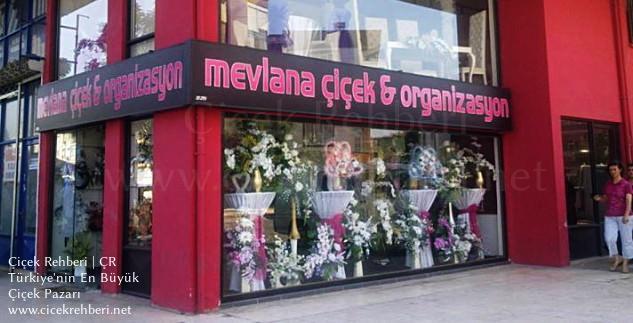 Mevlana Çiçek Merkez, Antalya, Muratpaşa fotoğrafları