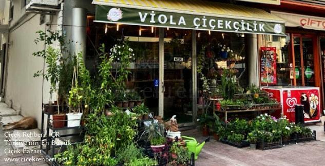Viola Çiçekçilik Merkez, Antalya, Muratpaşa fotoğrafları