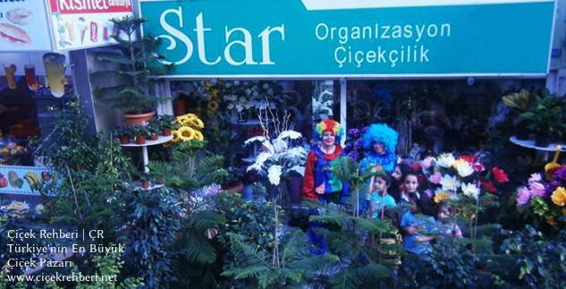 Star Çiçekçilik Merkez, Antalya, Alanya fotoğrafları