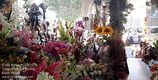 Gündoğdu Çiçekçilik Merkez, Antalya, Alanya fotoğrafları
