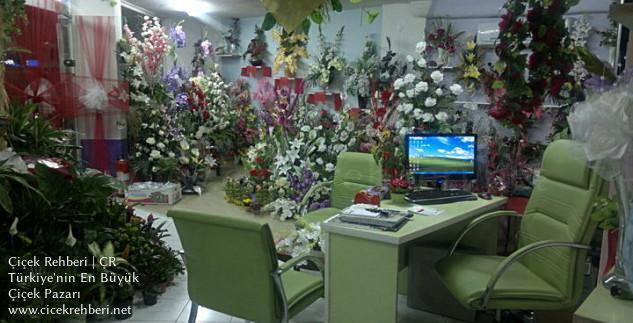 Alanya Defne Çiçekçilik Merkez, Antalya, Alanya fotoğrafları