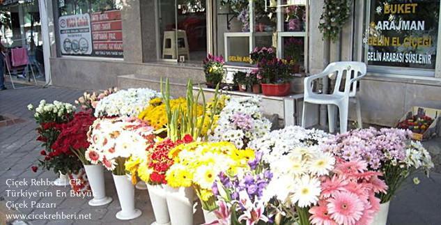 Yasemen Çiçekçilik Merkez, Manisa, Salihli fotoğrafları