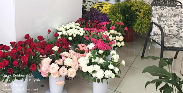 Okay Çiçekçilik Merkez, Bursa, Nilüfer fotoğrafları