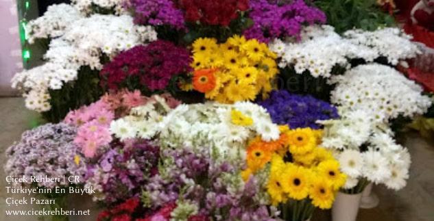 Barış Çiçekçilik Merkez, İstanbul, Pendik fotoğrafları