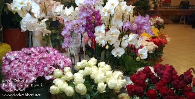 İ̇nciler Çiçek Merkez, İstanbul, Ataşehir fotoğrafları
