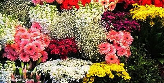 Elif Çiçekçilik Merkez, İstanbul, Avcılar fotoğrafları