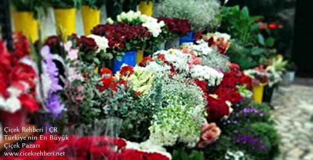 Elif Çiçekçilik Merkez, İstanbul, Avcılar fotoğrafları