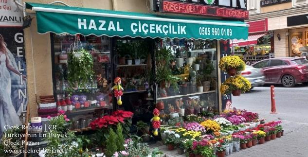 Hazal Çiçekçilik Merkez, İstanbul, Bağcılar fotoğrafları