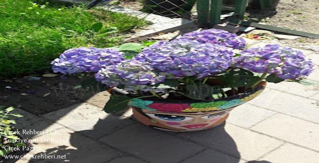 Tufan Çiçekçilik Merkez, Çanakkale, Gelibolu fotoğrafları