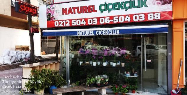 Naturel Çiçekçilik Merkez, İstanbul, Bahçelievler fotoğrafları