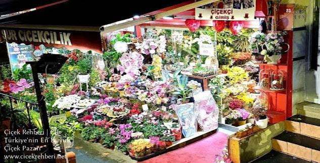 Sur Çiçekçilik Merkez, İstanbul, Fatih fotoğrafları