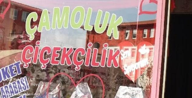 Çamoluk Çiçekçilik Merkez, İstanbul, Esenler fotoğrafları