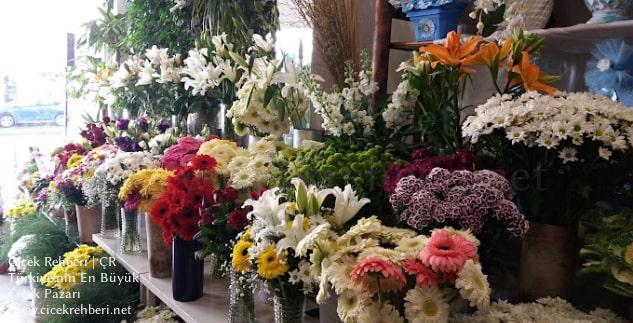 Filiz Çiçekçilik Merkez, İstanbul, Fatih fotoğrafları