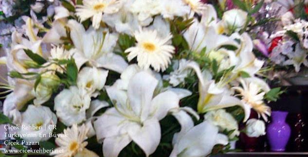 Filiz Çiçekçilik Merkez, İstanbul, Fatih fotoğrafları