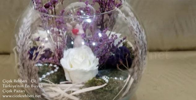 Filiz Çiçekçilik Merkez, İstanbul, Fatih fotoğrafları