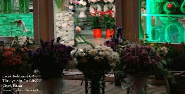 Bahçıvan Çiçekçilik Merkez, İstanbul, Beylikdüzü fotoğrafları