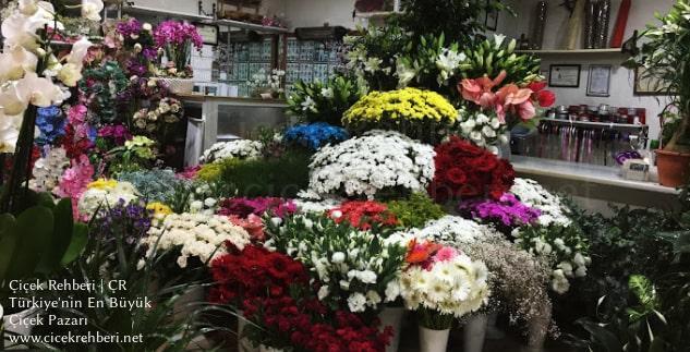 Yeşil Sera Çiçekçilik Merkez, Sakarya, Adapazarı fotoğrafları