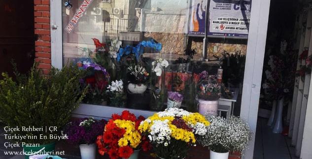 Mimoza Çiçekçilik Merkez, Diyarbakır, Silvan fotoğrafları