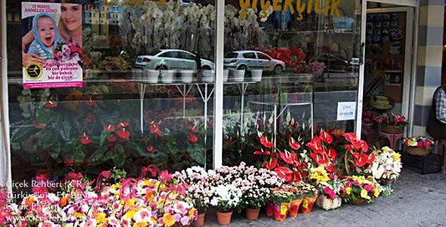 Jest Çiçekçilik Merkez, Kocaeli, İzmit fotoğrafları