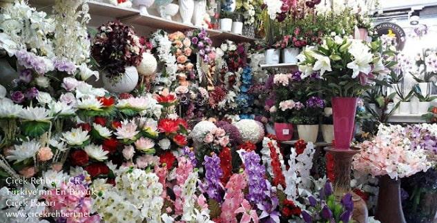 Doruk Çiçekçi Merkez, Kastamonu, Merkez fotoğrafları