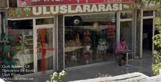 Zarem Çiçekçilik Merkez, Diyarbakır, Kayapınar fotoğrafları