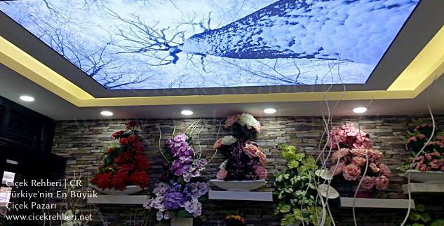 Nergiz Çiçekçilik Merkez, Diyarbakır, Bağlar fotoğrafları