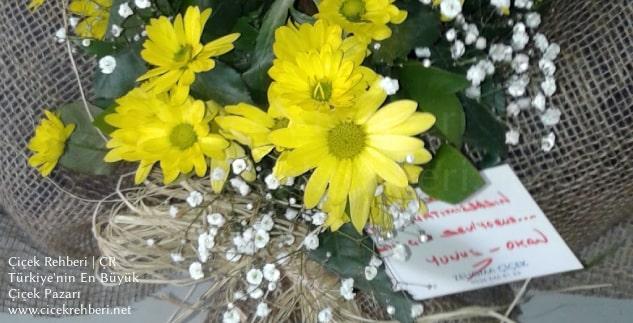 Zeugma Çiçekçilik Merkez, Gaziantep, Şahinbey fotoğrafları