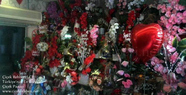 Musabeyli Çiçek Evi Merkez, Gaziantep, Şahinbey fotoğrafları