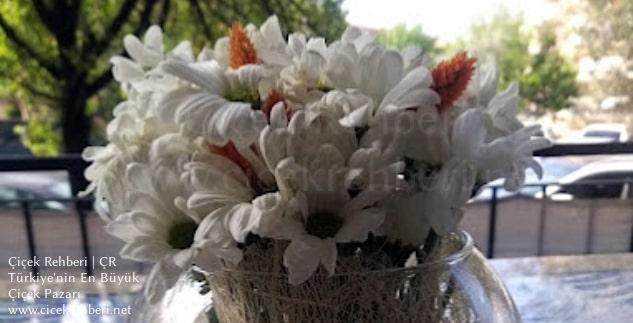 Armoni Çiçek Merkez, Denizli, Pamukkale fotoğrafları