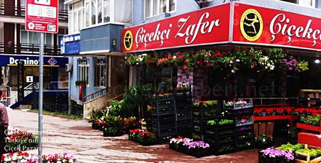 Çiçekçi Zafer Merkez, Samsun, İlkadım fotoğrafları