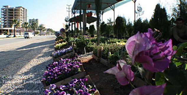 Akdeniz Çiçekçilik Merkez, Adana, Seyhan fotoğrafları