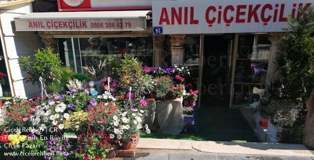 Anıl Çiçekçilik Merkez, Ankara, Altındağ fotoğrafları