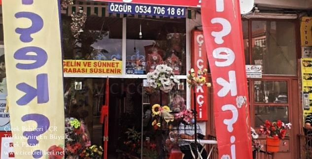 Gördeles Çiçekçilik Merkez, Ankara, Mamak fotoğrafları