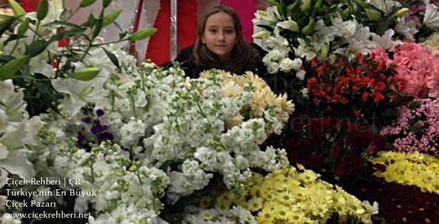 Yıldız Çiçekçilik Merkez, Ankara, Çankaya fotoğrafları