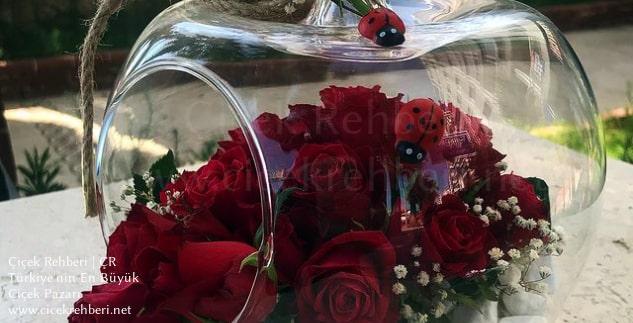 Girne Çiçekçilik Merkez, İzmir, Karşıyaka fotoğrafları