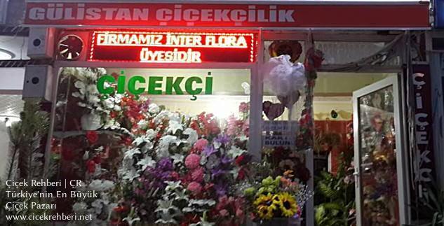Gülistan Çiçekçilik Merkez, Ankara, Kazan fotoğrafları