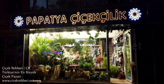 Papatya Çiçekçilik Merkez, Eskişehir, Odunpazarı fotoğrafları