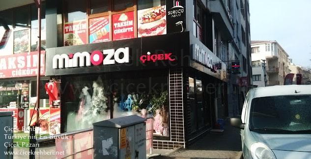 Mimoza Çiçekçilik Merkez, Eskişehir, Odunpazarı fotoğrafları