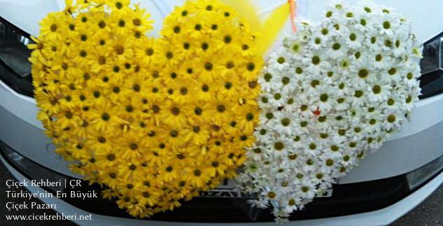 Mimoza Çiçekçilik Merkez, Eskişehir, Odunpazarı fotoğrafları