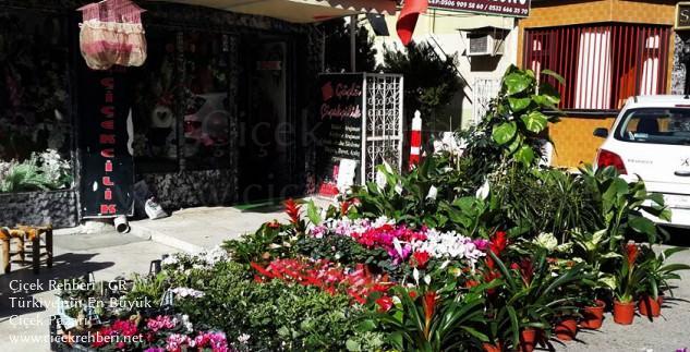Güçlü Çiçek Merkez, Antalya, Muratpaşa fotoğrafları