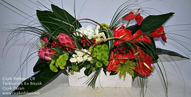 As Çiçekçilik Merkez, Antalya, Muratpaşa fotoğrafları