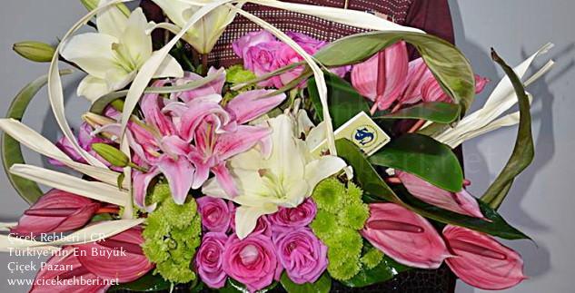 As Çiçekçilik Merkez, Antalya, Muratpaşa fotoğrafları