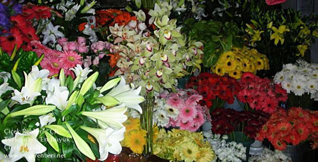 As Çiçekçilik Merkez, Antalya, Muratpaşa fotoğrafları