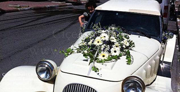 Botanik Çiçek Merkez, Antalya, Muratpaşa fotoğrafları