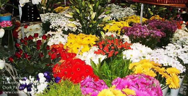 Viola Çiçekçilik Merkez, Antalya, Muratpaşa fotoğrafları